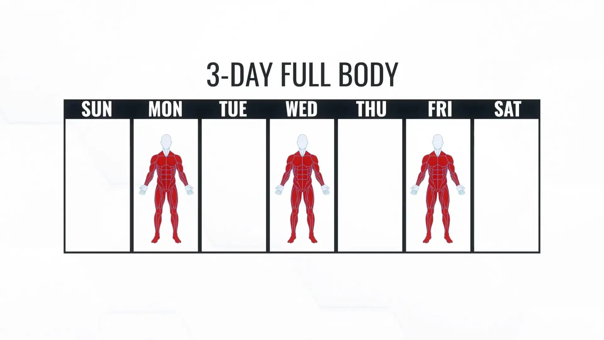 3-day full body diagram