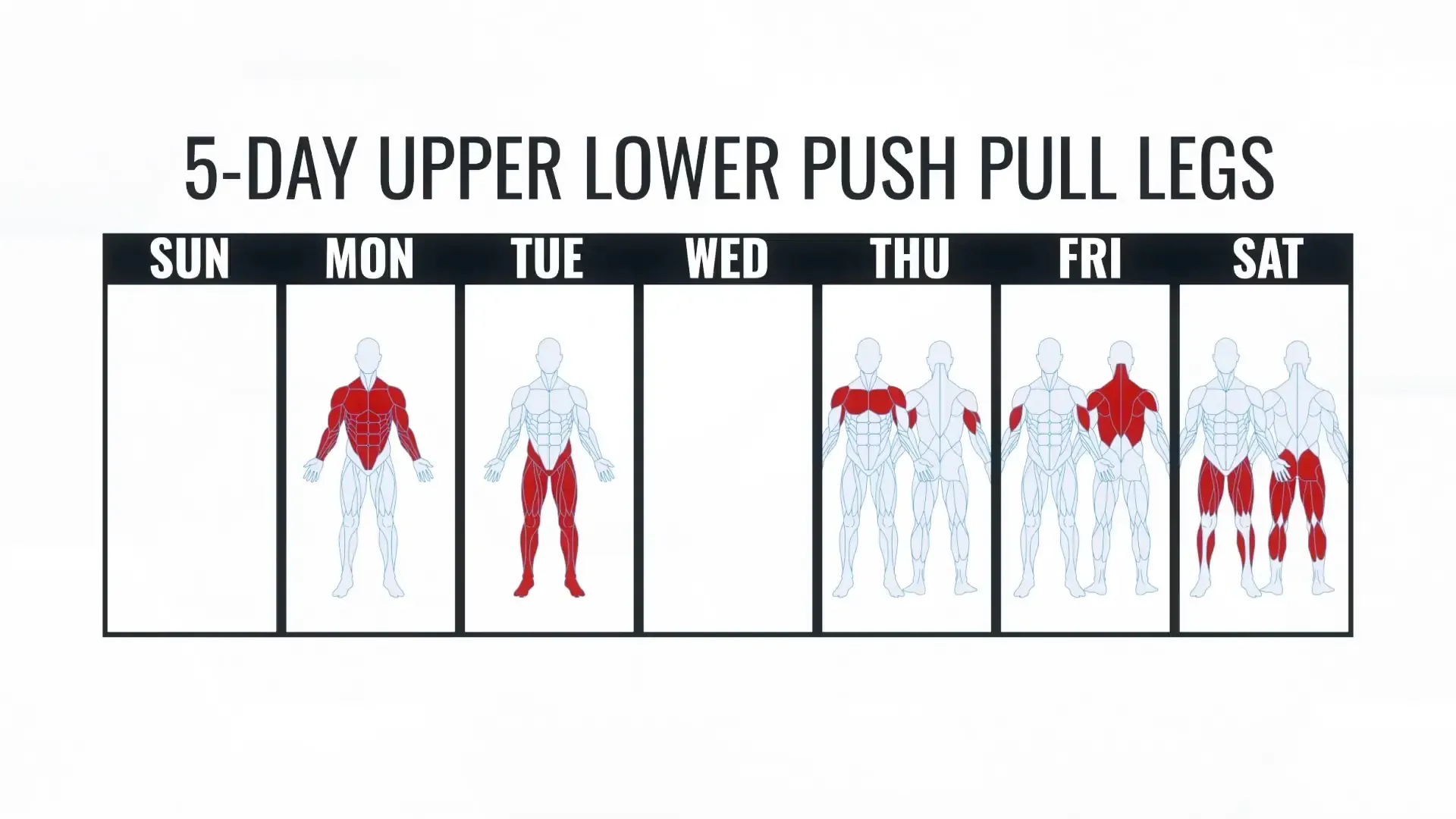 5-day Push/Pull/Legs diagram
