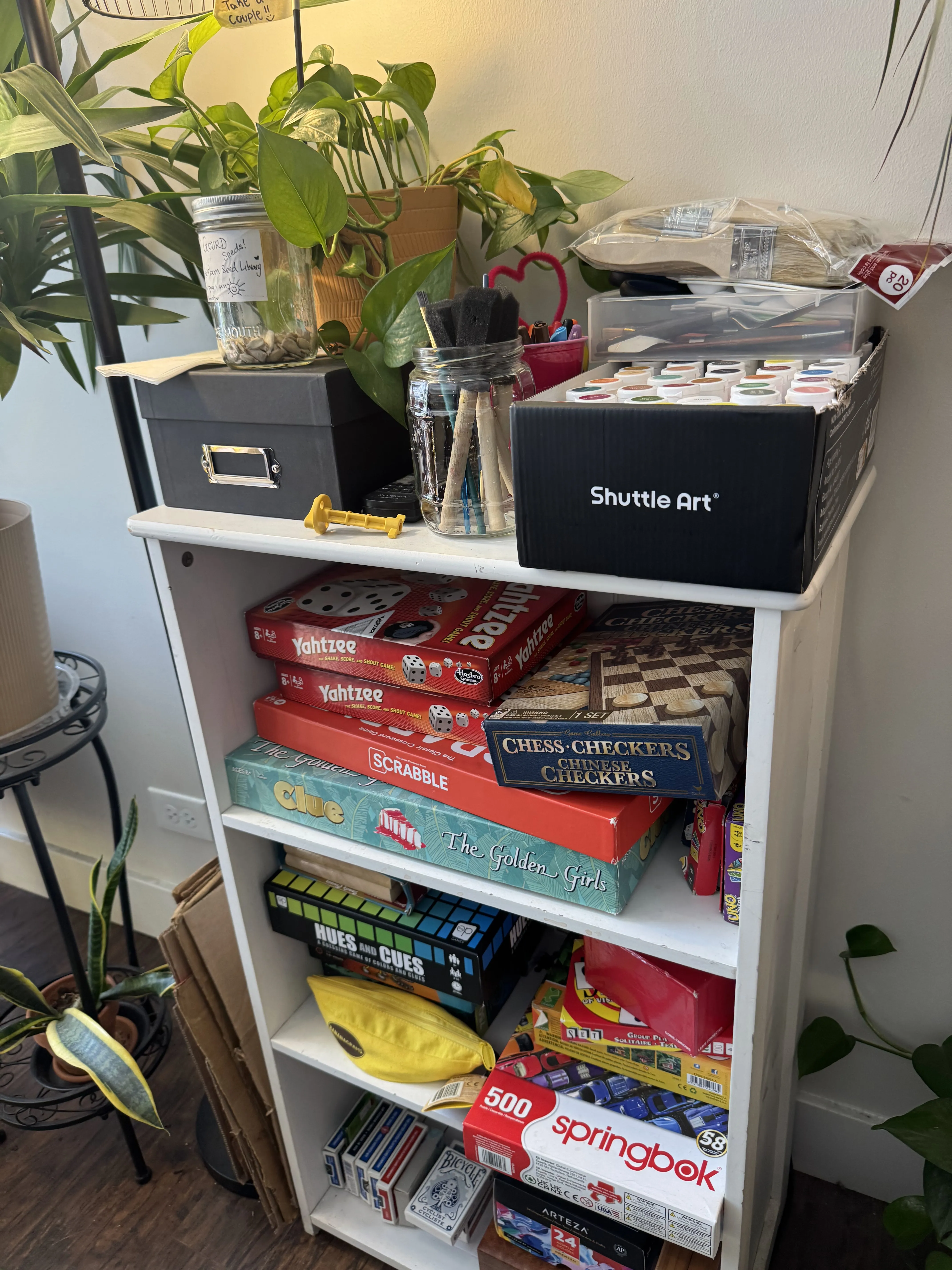 Small shelf packed with board games, art supplies, and surrounded by plants.