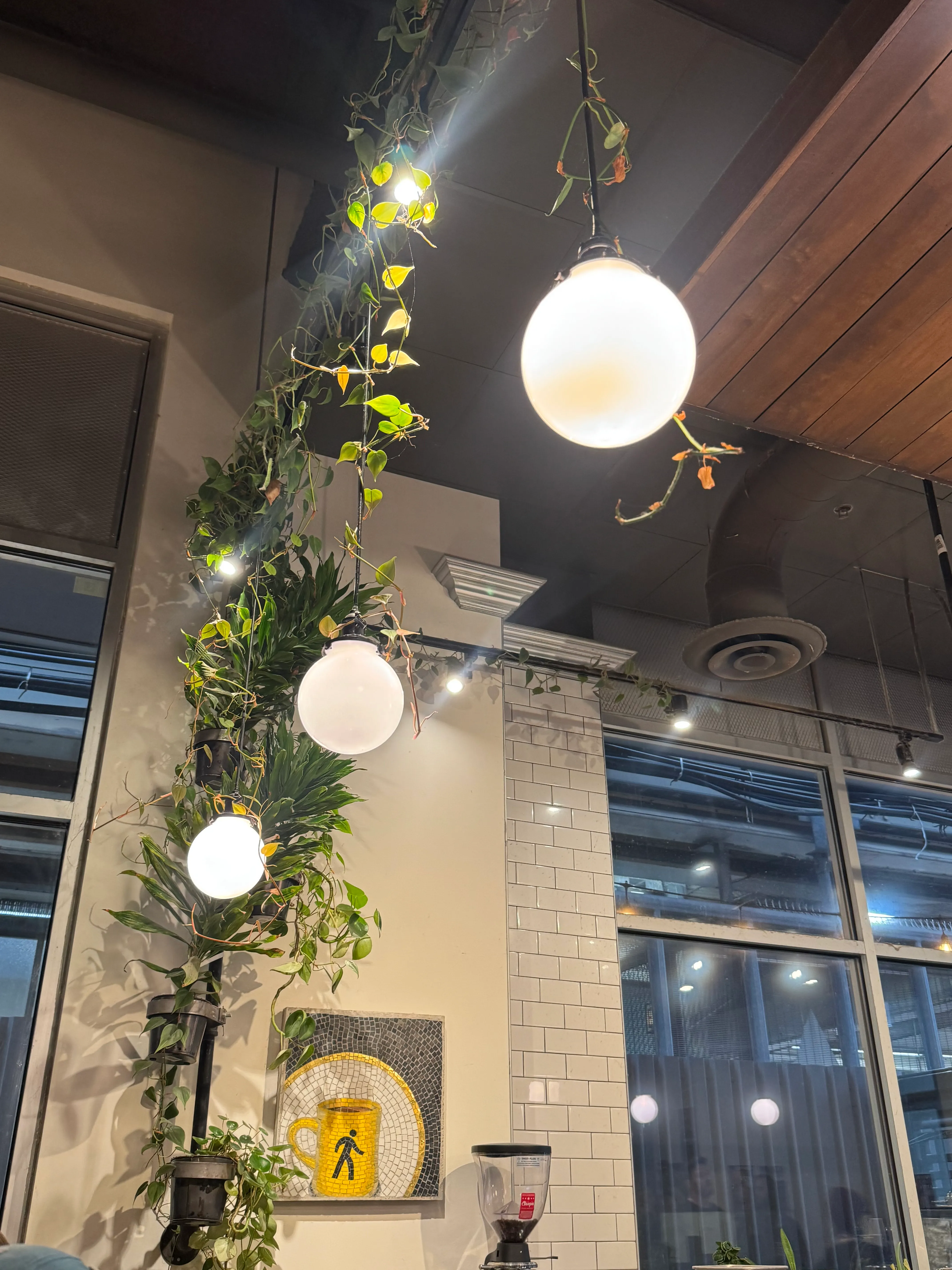 Ceiling shot showing orb lights with philodendron vines crawling all around