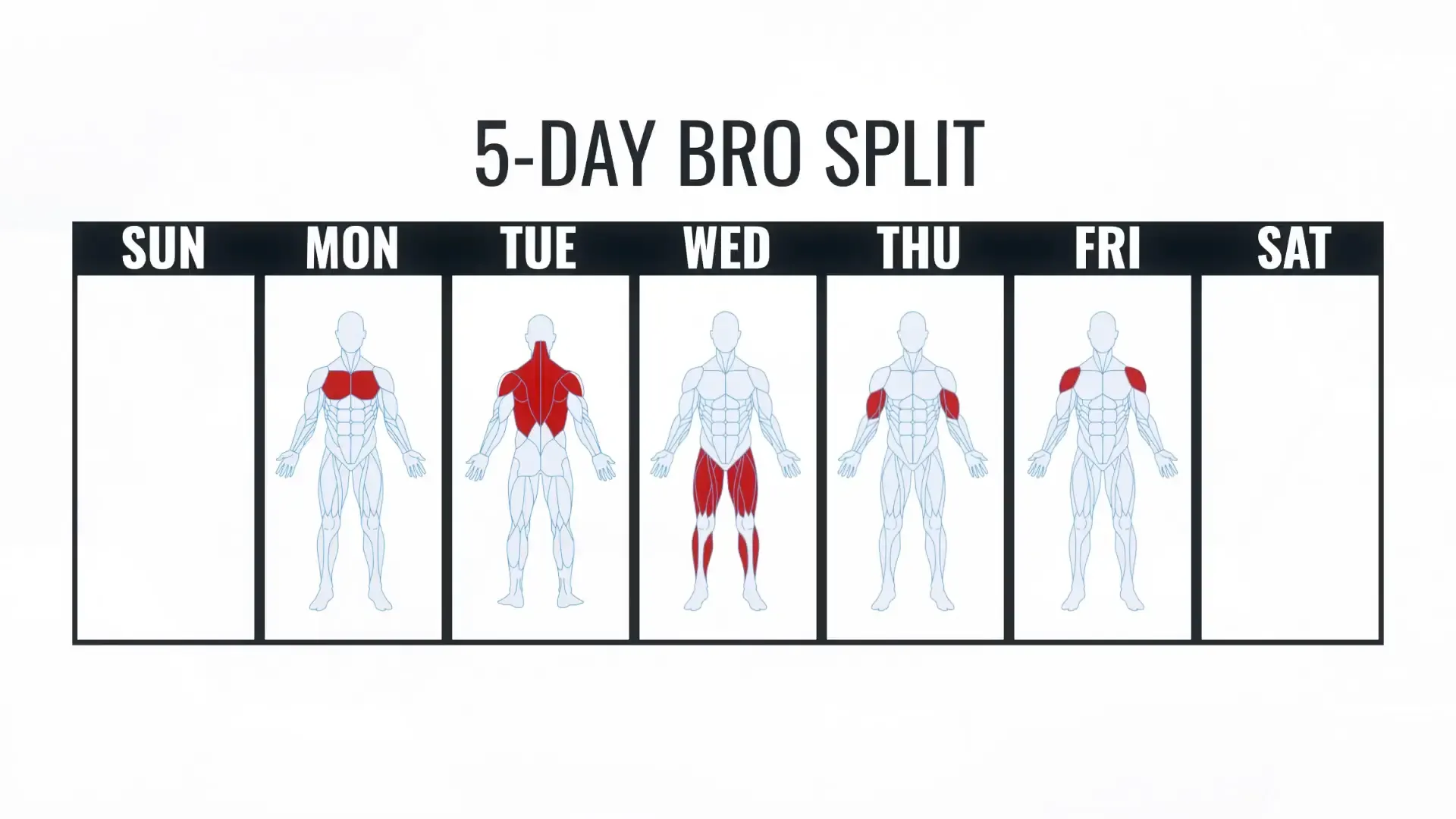 5-day bro split diagram
