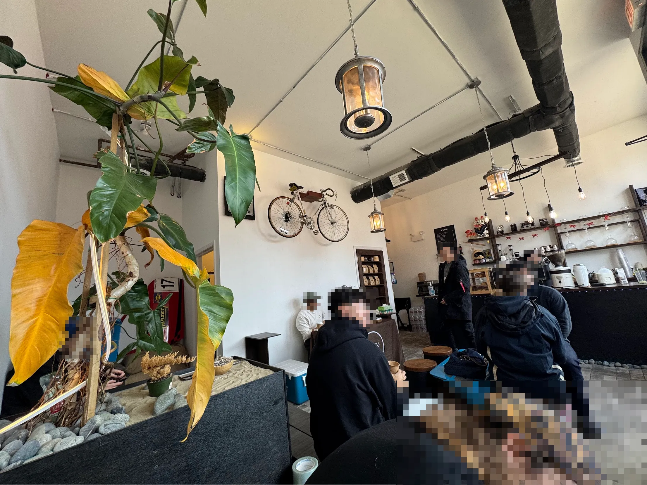 Full view of Ctrl Z cafe. Many people are seated at various unconventional seats throughout the cafe. A large, yellowing plant dominates the foreground. There is a bike hanging from the ceiling. The coffee bar is in the back.