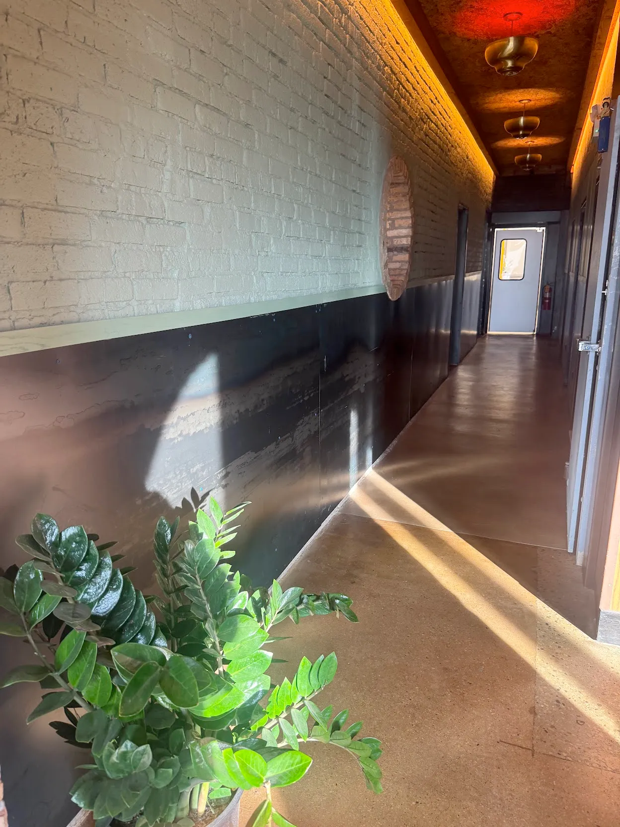 View of a hallway leading to the roastery area, as well as the restrooms. A zz plant is visible in the foreground.