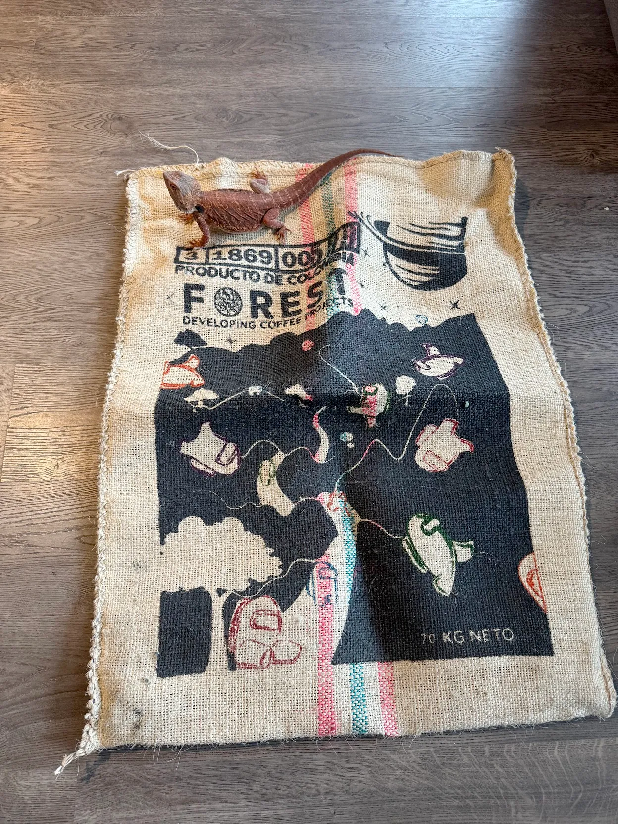 Again, the among us bag. This time on my apartment floor with Wrex (bearded dragon) standin gon it