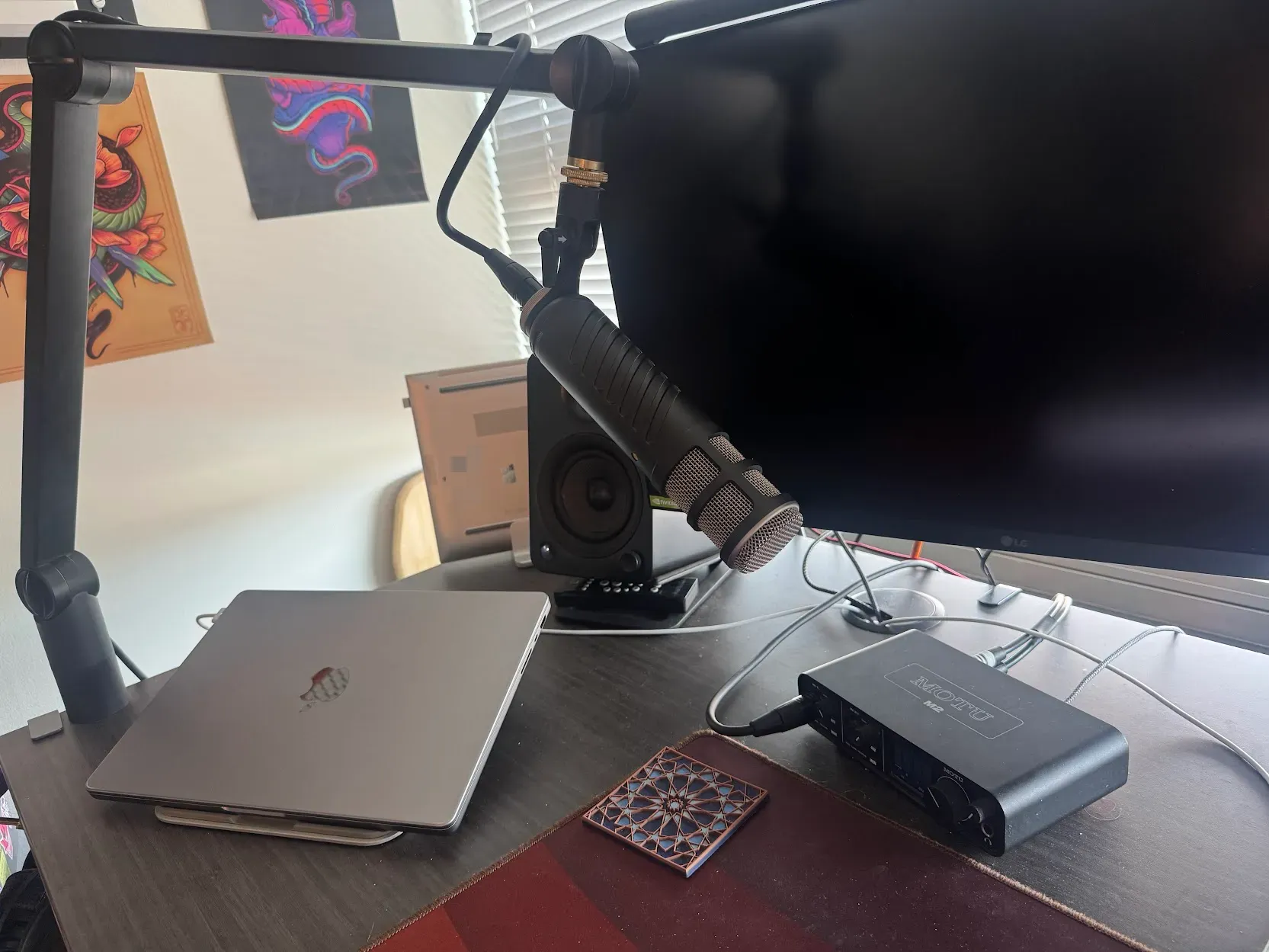 Photo of my microphone on its stand, next to a computer monitor, above my USB interface. There are a few snake art posters in the backgorund beside window blinds